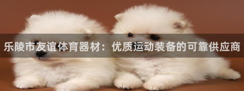 富联平台官网：乐陵市友谊体育器材：优质运动装备的可靠供应商
