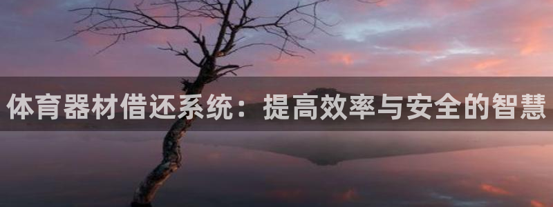 富联平台地址查询：体育器材借还系统：提高效率与安全的