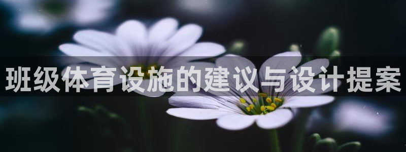 富联娱乐够7O777：班级体育设施的建议与设计提案