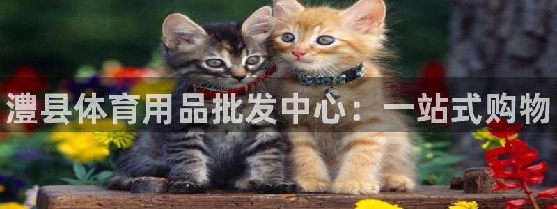 富联娱乐测速登录失败：澧县体育用品批发中心：一站式购物