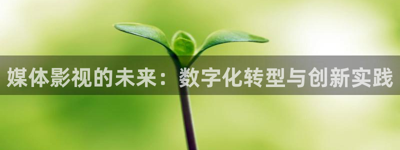 午夜影院aaaa：媒体影视的未来：数字化转型与创新实践