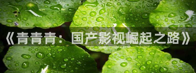 欧美电影aa：《青青青：国产影视崛起之路》