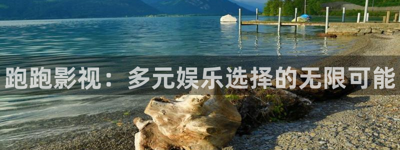 免费看欧美aaa片：跑跑影视：多元娱乐选择的无限可能