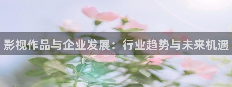 aaa午夜电影：影视作品与企业发展：行业趋势与未来机遇
