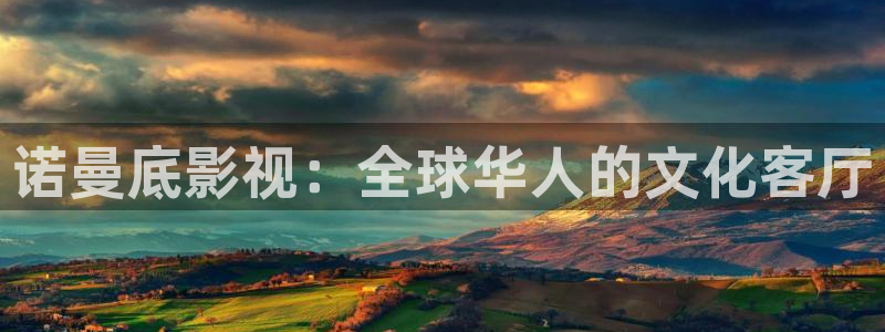 aaaa影院：诺曼底影视：全球华人的文化客厅