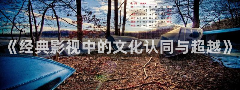 aaa午夜影院在线观看：《经典影视中的文化认同与超越》