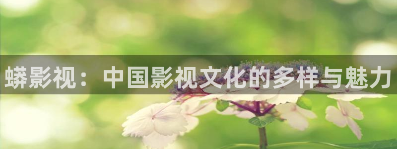 aaa大片影院：蟒影视：中国影视文化的多样与魅力