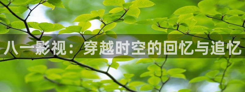 午夜电影aaa剧场：八一影视：穿越时空的回忆与追忆