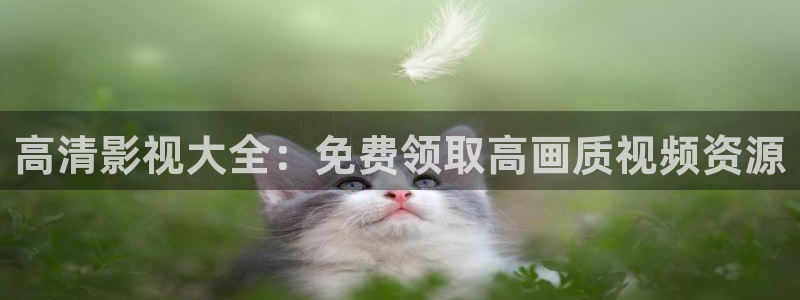 深夜影院aa：高清影视大全：免费领取高画质视频资源